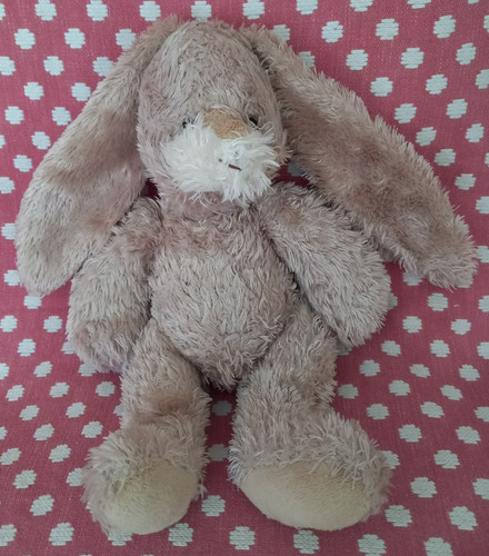 Walton co thumper bunny - walton,