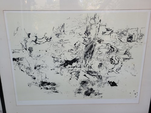 Dario raffaele orioli signed - dario,