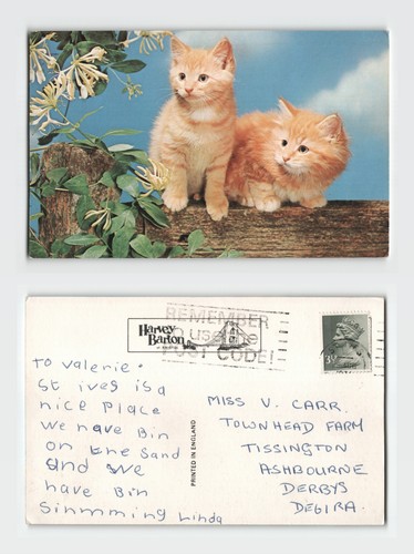 Postcard two ginger - two, kittens