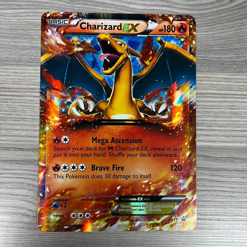 Charizard oversized black - charizard,