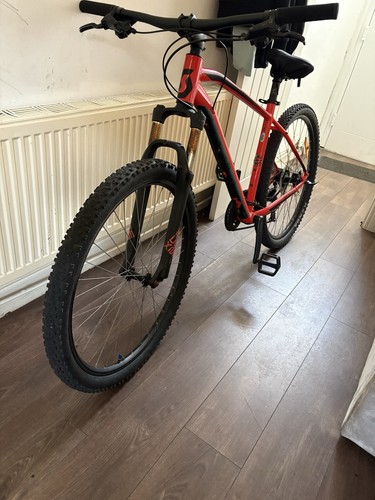 Scott aspect front - scott,