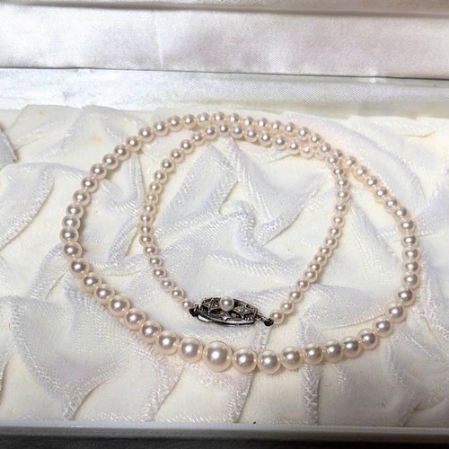 Mikimoto akoya baby - mikimoto,