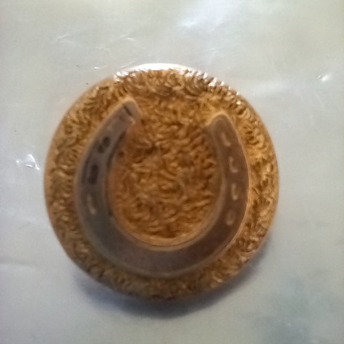 Wests patent gold - patent, horse