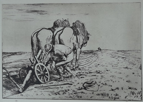 Legros horse plough - legros,