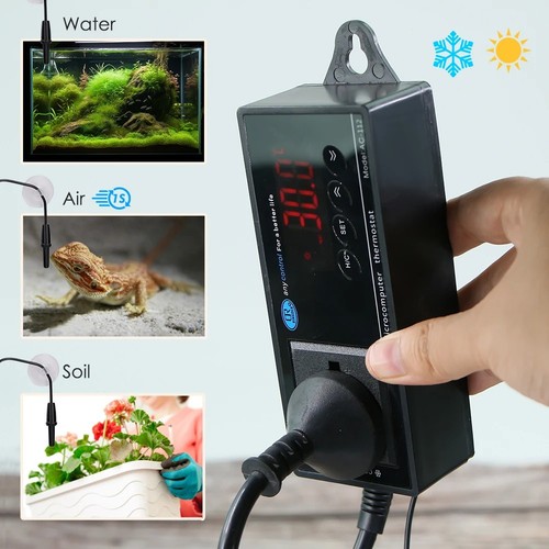 Digital reptile temperature - reptile,