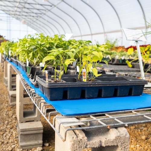 Gemplers heat propagation mat - heat,