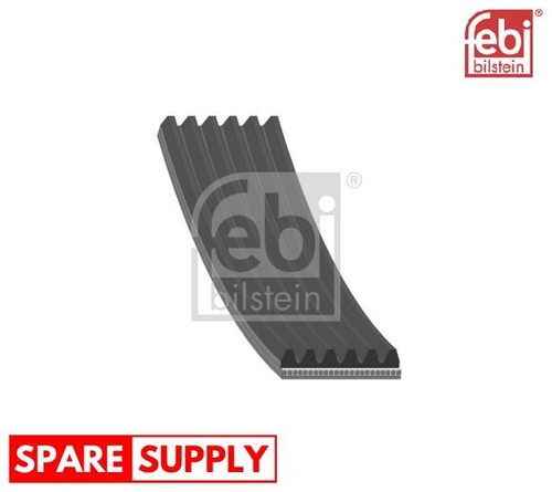 Ribbed belts for - for, beetle