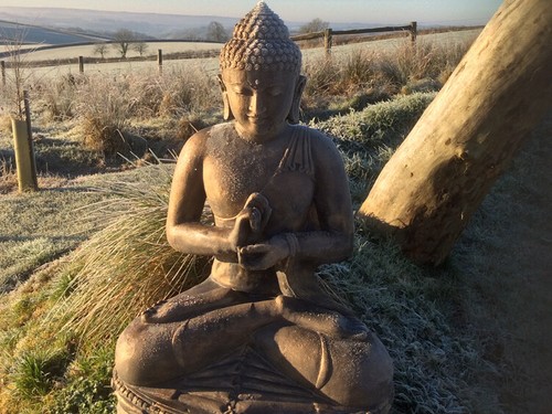 Large dharma buddha statue - dharma,