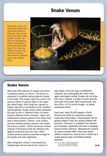 Snake venom themes - snake,