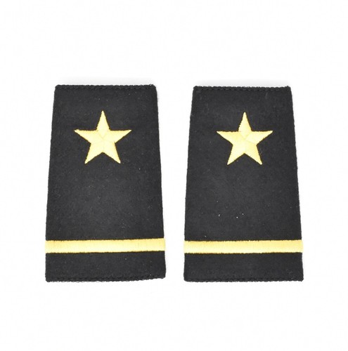Gold star pilot captagold - star,