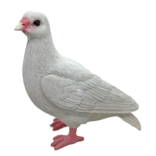 White dove garden - garden, bird