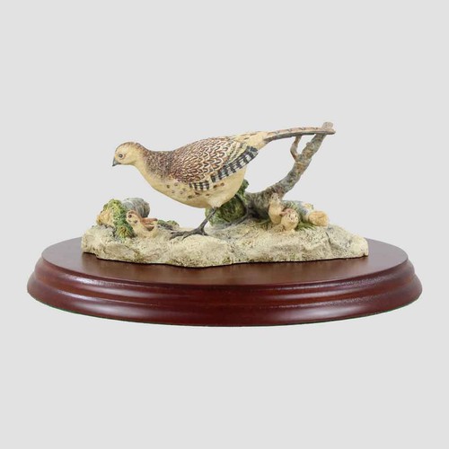 Hen pheasant and - pheasant, chicks