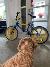 Original 1983 Raleigh Mag