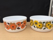 Vintage Set  2 Arcopal France
