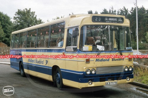 Bus photo midland bluebird - bus,