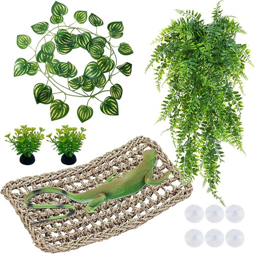 Bearded dragon accessories - bearded,