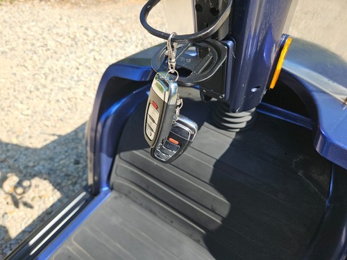Eden champion used electric - eden,