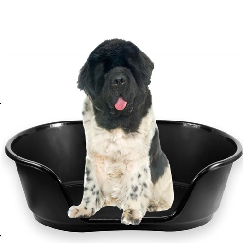 Dog bed basket - cat, puppy