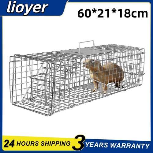 Rat trap squirrel mouse - mouse,