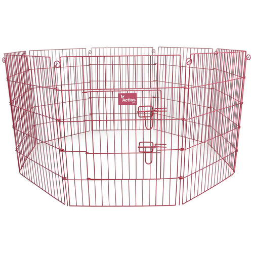 2nds pink pet - pink, dog