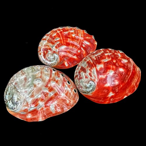 Super rare large polished red - super,
