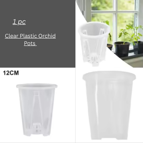Orchid pot clear plastic - orchid,