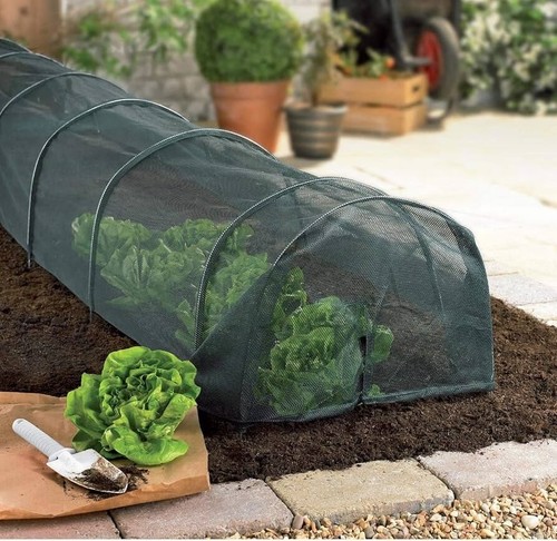 Poly tunnel cloche - 3m,