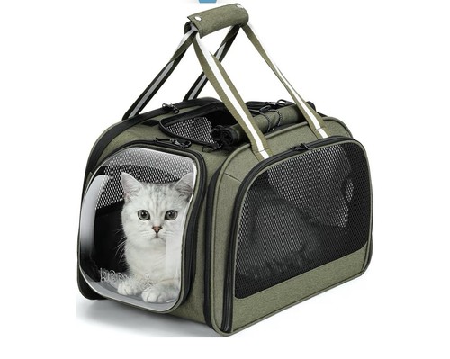 Pecute cat carrier - cat, bubble