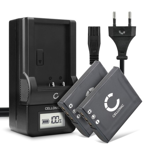 Bg1 fg1 battery - np-fg1, lcd