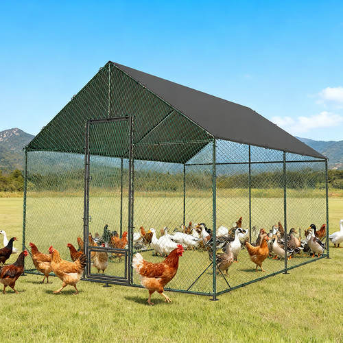 Xxl walk chicken run - walk, in