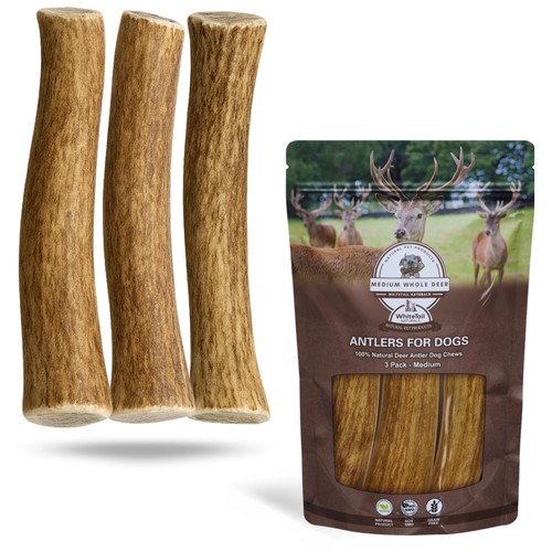 Deer antler dog chews pack - antler, (3