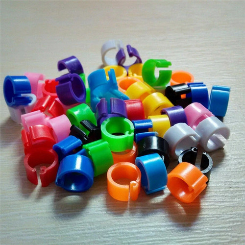 30pcs bird rings leg bands - 30pcs,