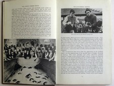 Working Terrier [The, Plummer