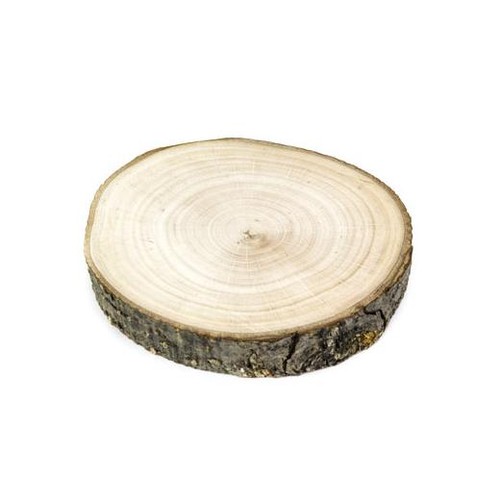 Round paulownia tree bark - paulownia,