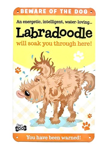 Labradoodle dog novelty beware - dog,