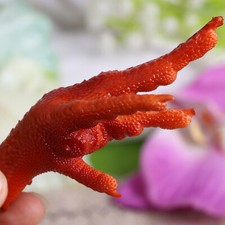  2 Pcs Simulated Chicken Feet