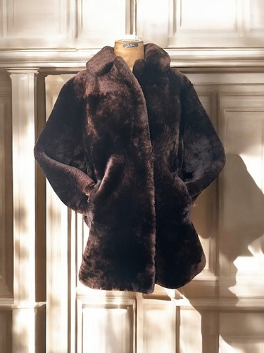 1950 hollywood chic - hollywood, beaver