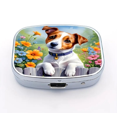 Jack russell terrier - pill, box