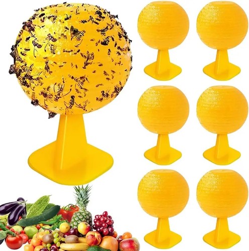 Fruit fly balls ball - fruit,