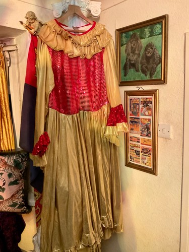 Pantomime dame costume - costume, finale