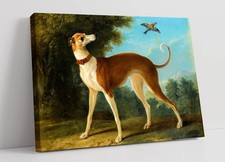 GREYHOUND & BIRD, JEAN