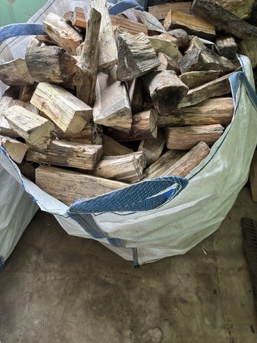 Unseasoned firewood logs - firewood,