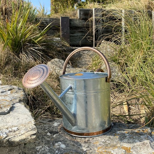 Watering can galvanised indoor - can,