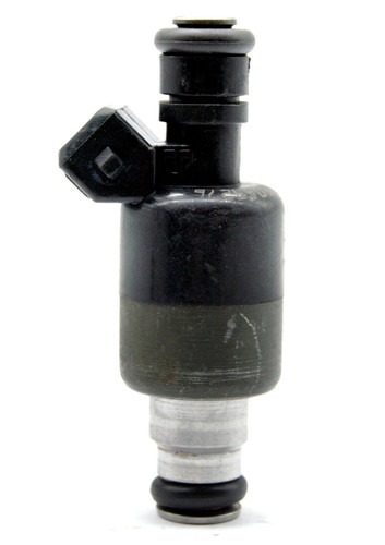 Fuel injector for - fuel,
