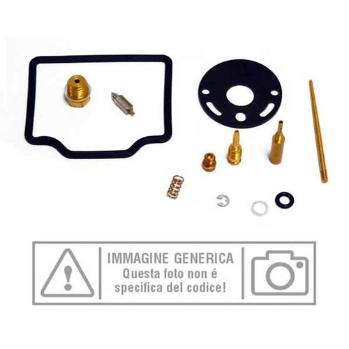 Carburetor revision kit - carburetor,