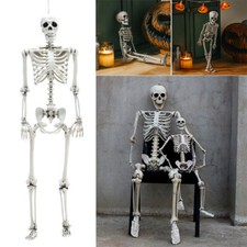 Decoration Bones Decor Model