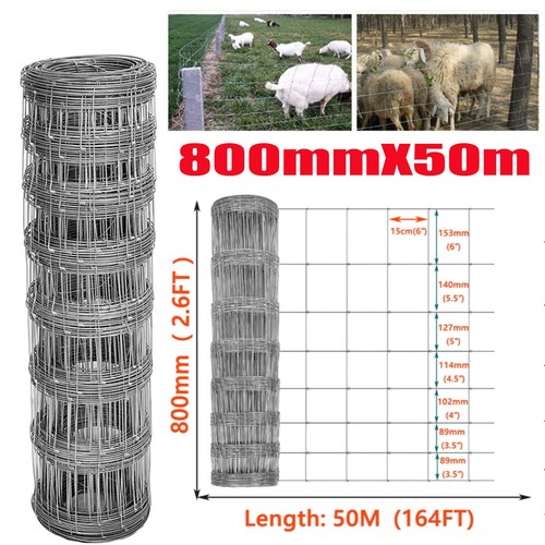 Green pvc coated chicken - pvc,