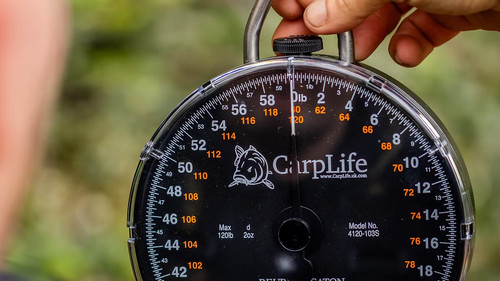 Carp life 120lb specimen - carp,