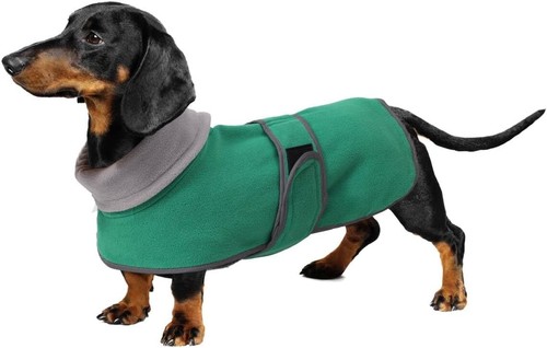Geyecete dachshund coat - , with