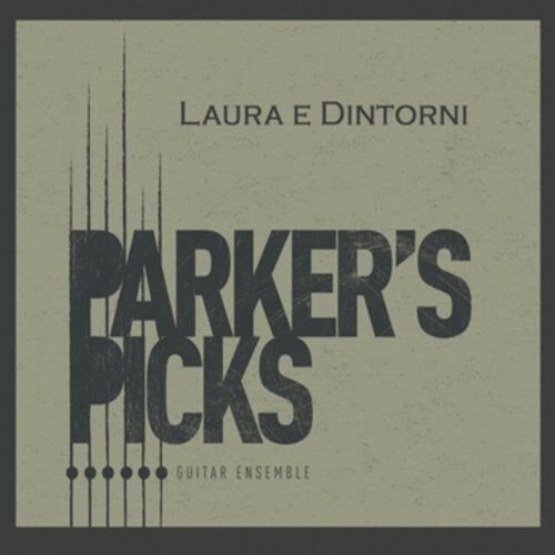 Parker picks guitar ensemble - parker's,